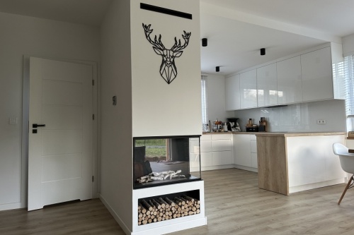 Inbouw-bio-ethanolhaarden Links biokominek_do_zabudowy_narozny_bio-eko_prawy_aranzacja_01