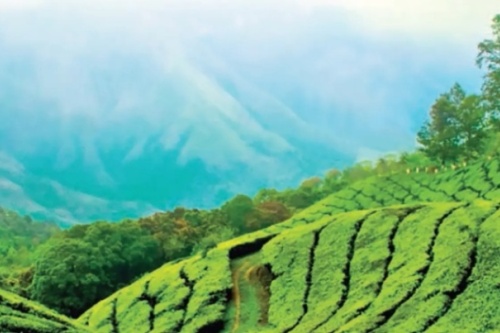 BIObrandstof GMT green hills screenshot_2026-02-23_223324_edited