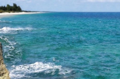 BIObrandstof GMT blue lagoon screenshot_2026-02-23_224229_edited