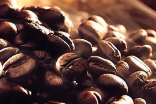 BIObrandstof GMT aromatic espresso screenshot_2026-02-23_224323_edited